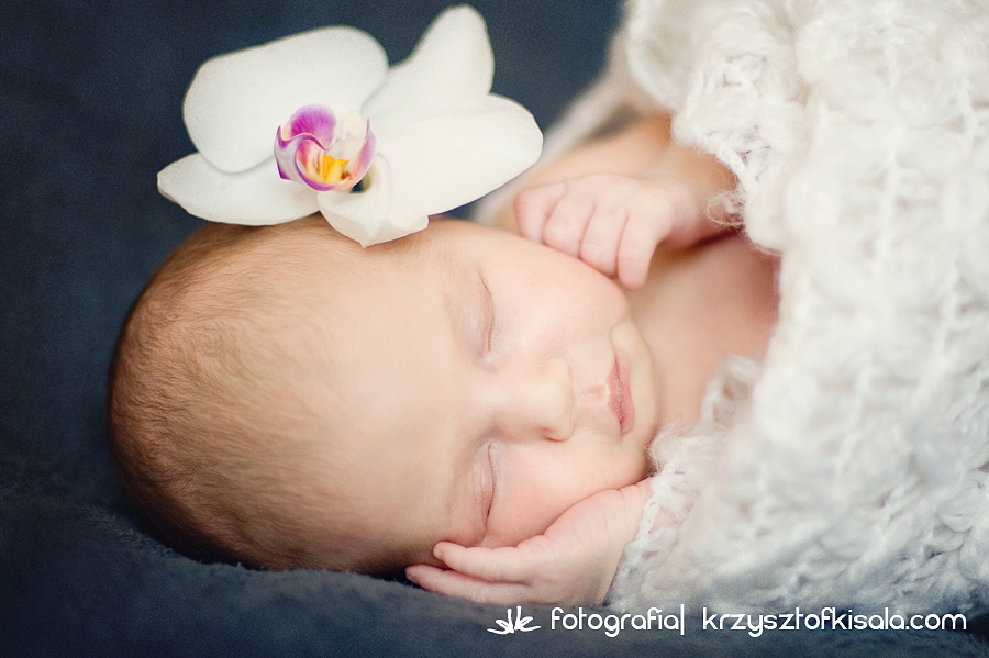 sesja noworodkowa Wałbrzych Legnica Świdnica, fotograf wałbrzych legnica